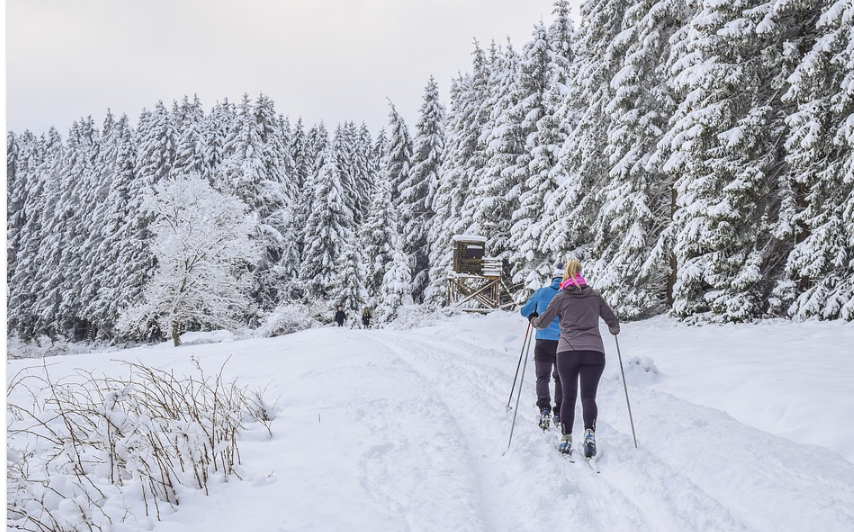 people skiing